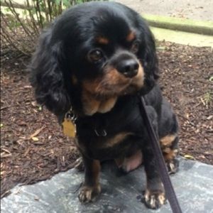 Meet your Posher, Maggie