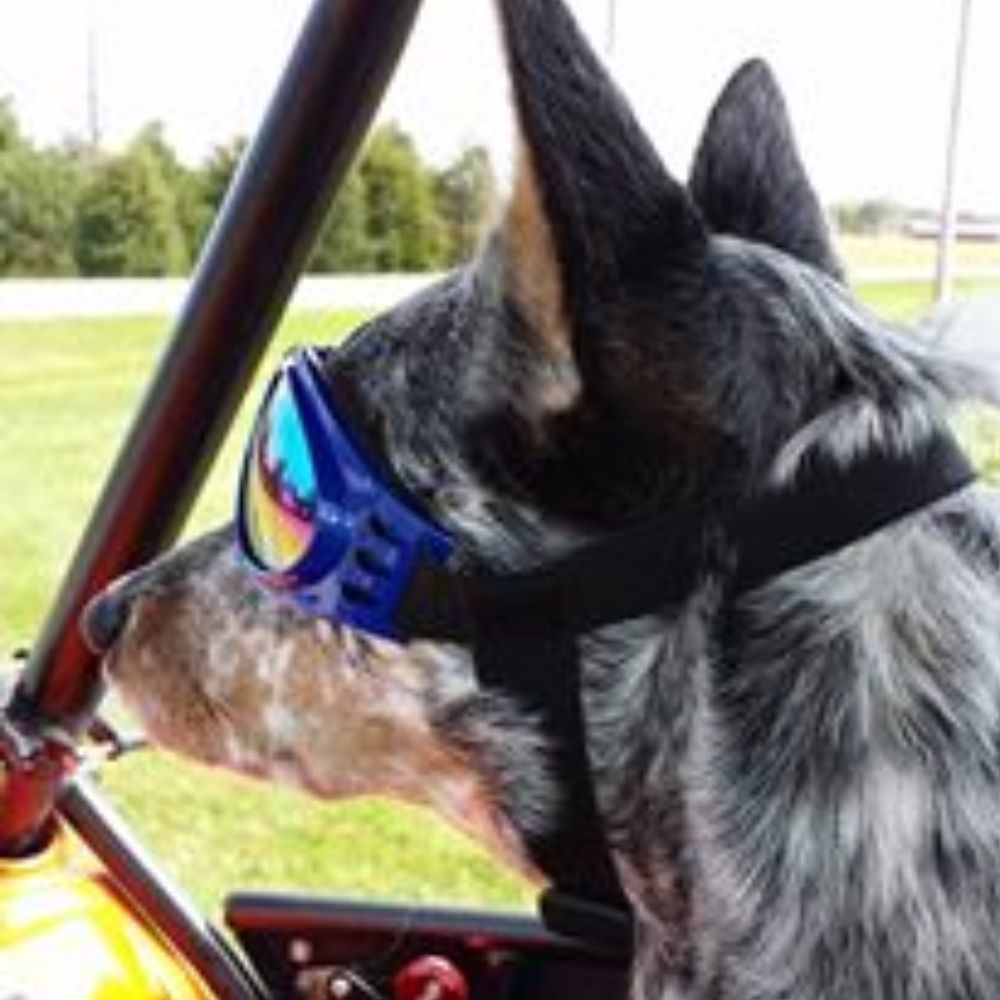 Meet your Posher, Juli