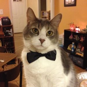 Meet your Posher, Kaitlyn