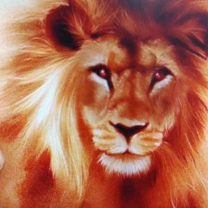 Meet your Posher, Hilda