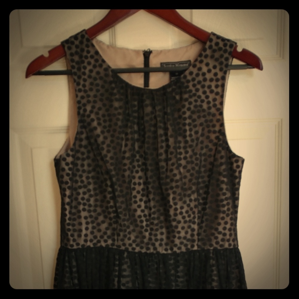 Jessica Howard Evenings Polka Dot Dress