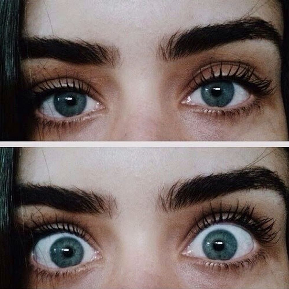 Meet your Posher, Lindsay