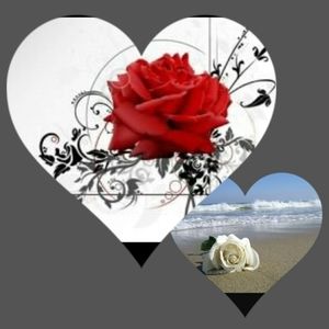 Meet your Posher, Ena