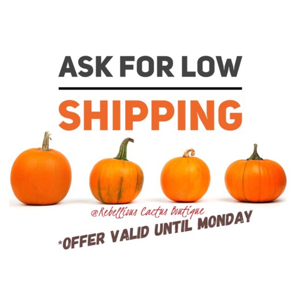 🌴 FALL SALE 🌴Roses Mesh Swimsuit - Picture 7 of 7