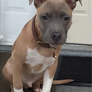 Meet your Posher, Franklin