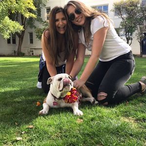 Meet your Posher, Sheila