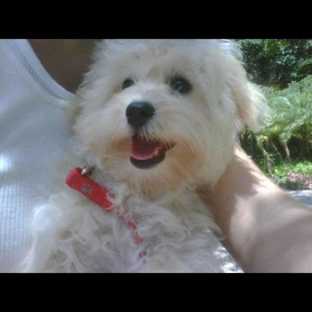 Meet your Posher, Marina