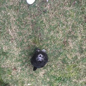 Meet your Posher, Marykate