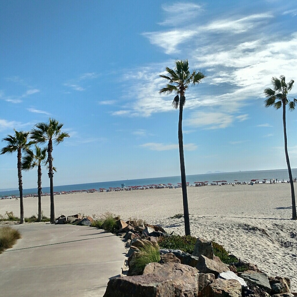 Meet your Posher, Vercelli