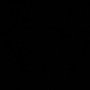 Meet your Posher, Tonya