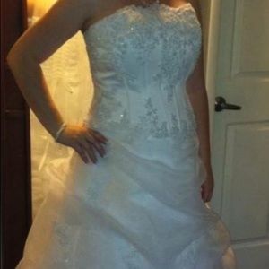 Davids Bridal Corset dress.