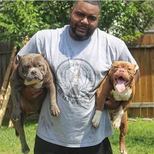 Meet your Posher, Herman