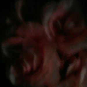 Meet your Posher, Bridget