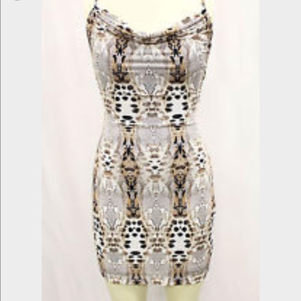 Animal print Bebe dress