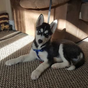 Meet your Posher, Michelle