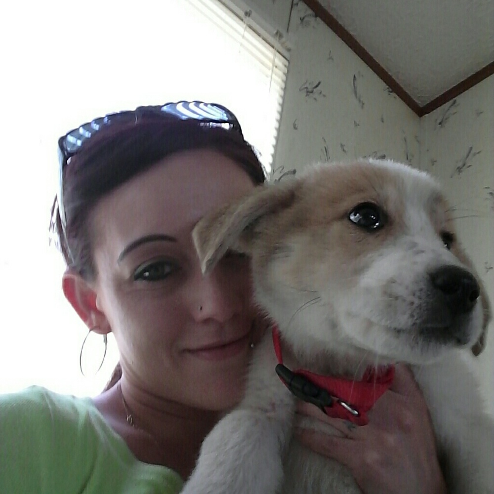 Meet your Posher, Susan