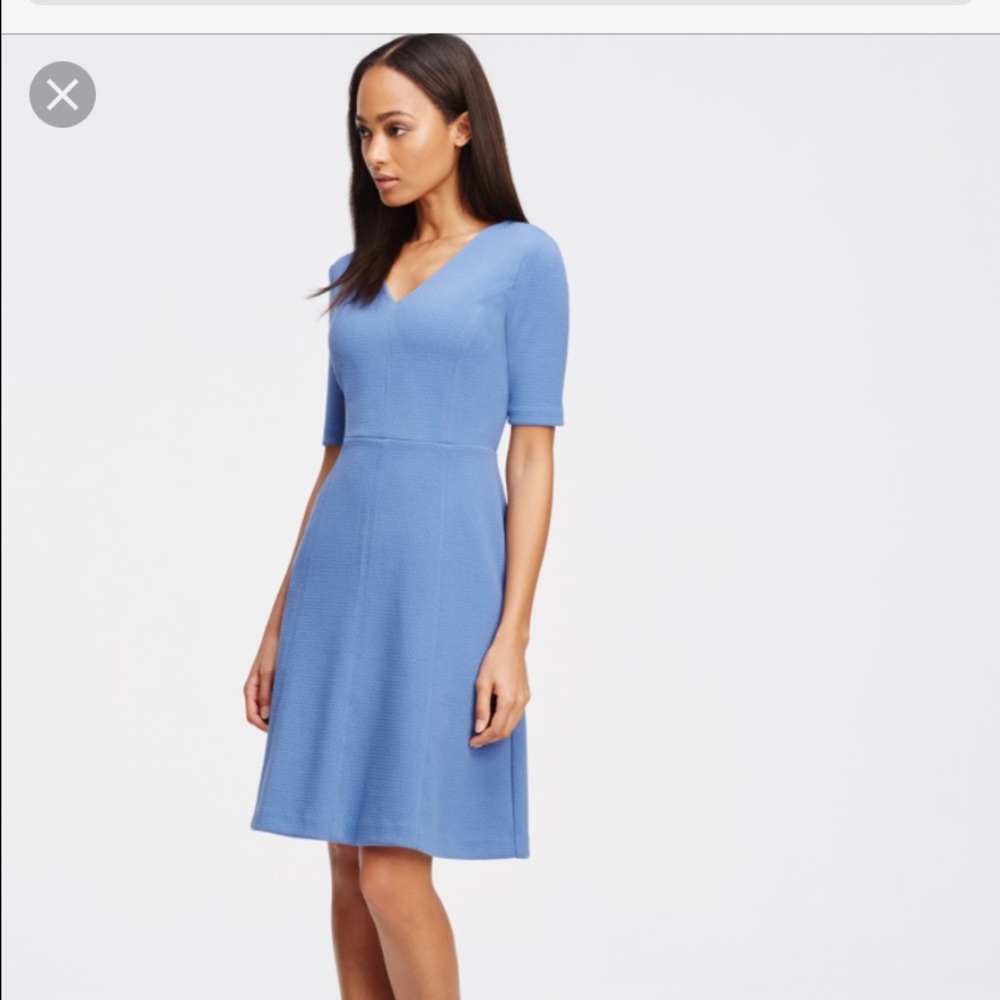 Ann Taylor Textured Flair Dress