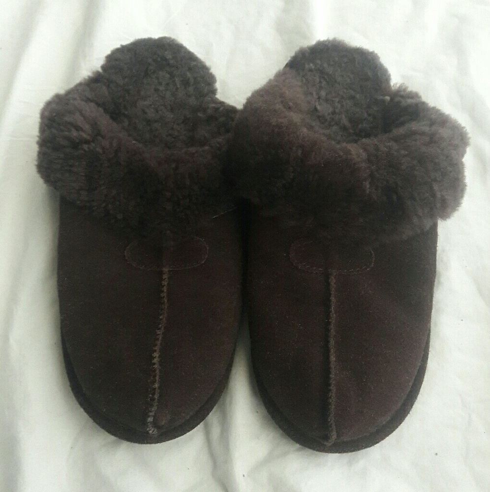 Bearpaw slippers