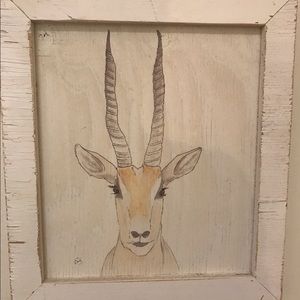 3 Framed Animal Pictures