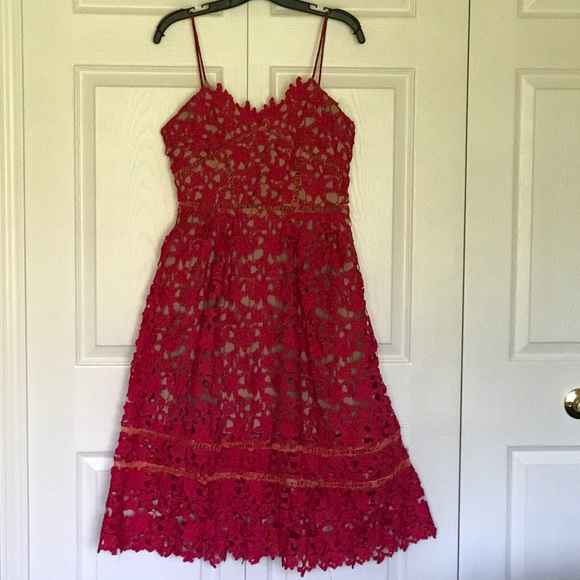 NWT Lace Dress - Picture 4 of 8