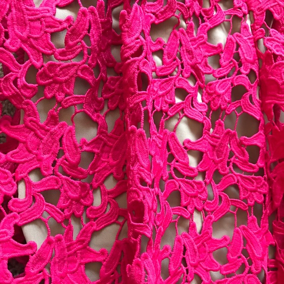 NWT Lace Dress - Picture 7 of 8