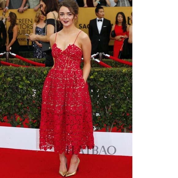 NWT Lace Dress - Picture 3 of 8