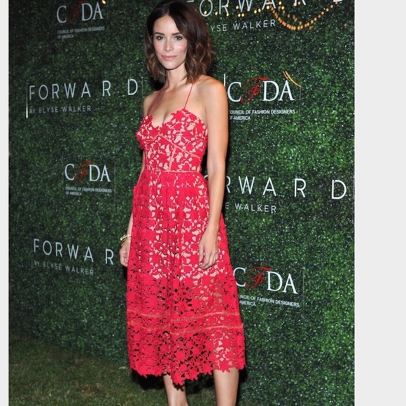 NWT Lace Dress - Picture 2 of 8