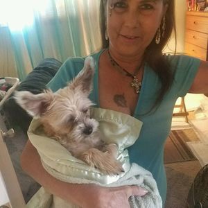 Meet your Posher, Brenda