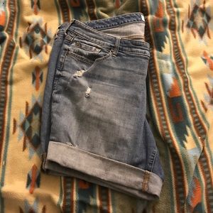 Torrid classic shorts