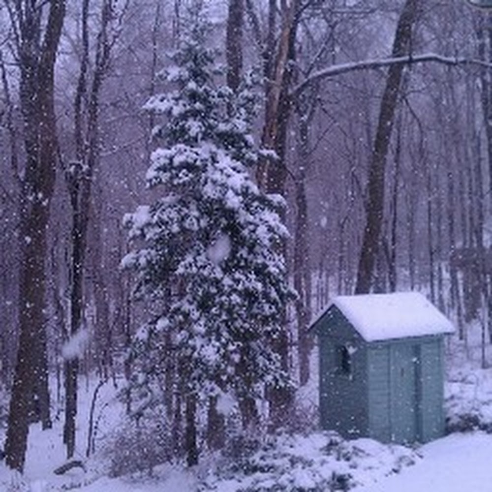 Meet your Posher, Mariel