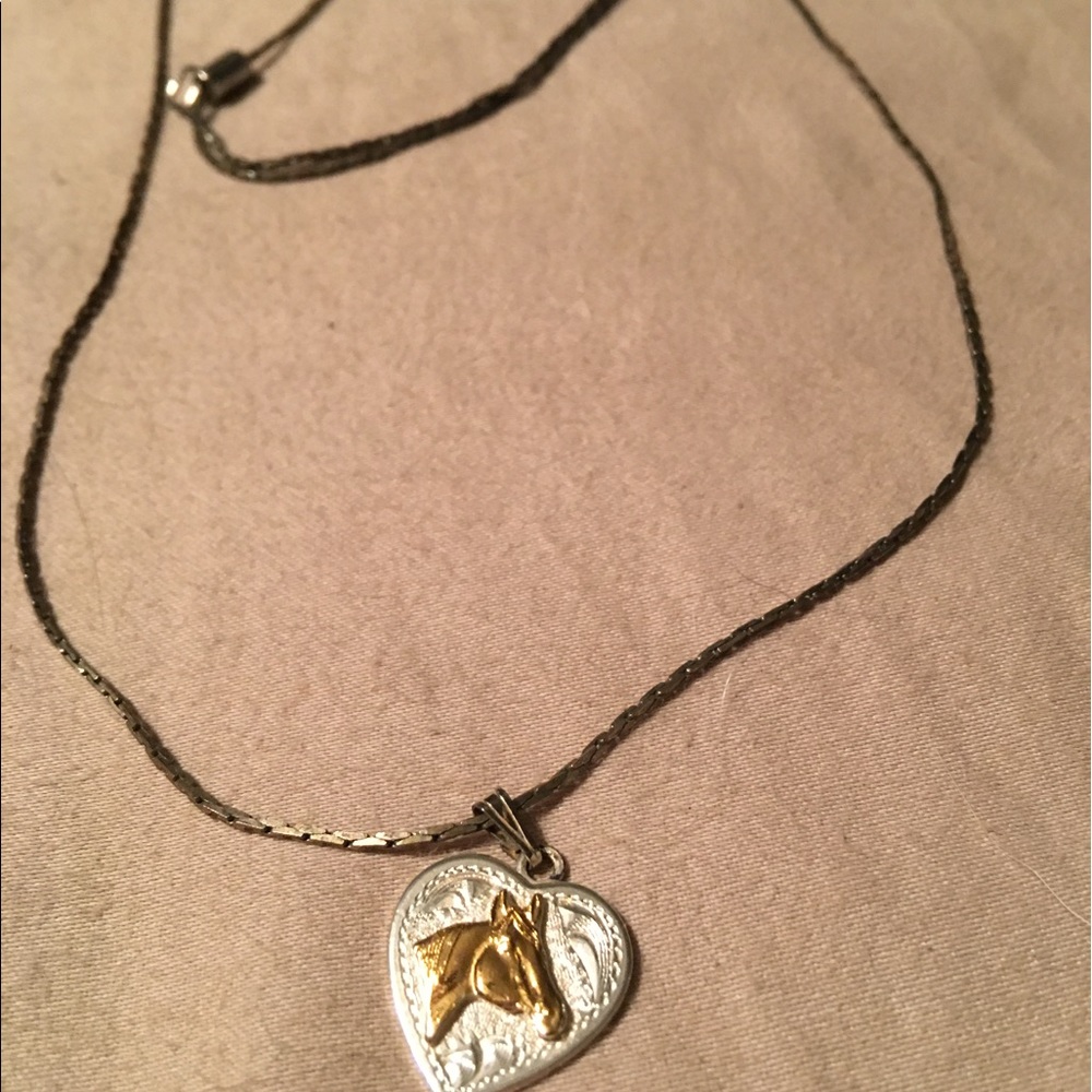 Montana Sterling Silver & Gold Necklace