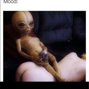 Meet your Posher, Kashi