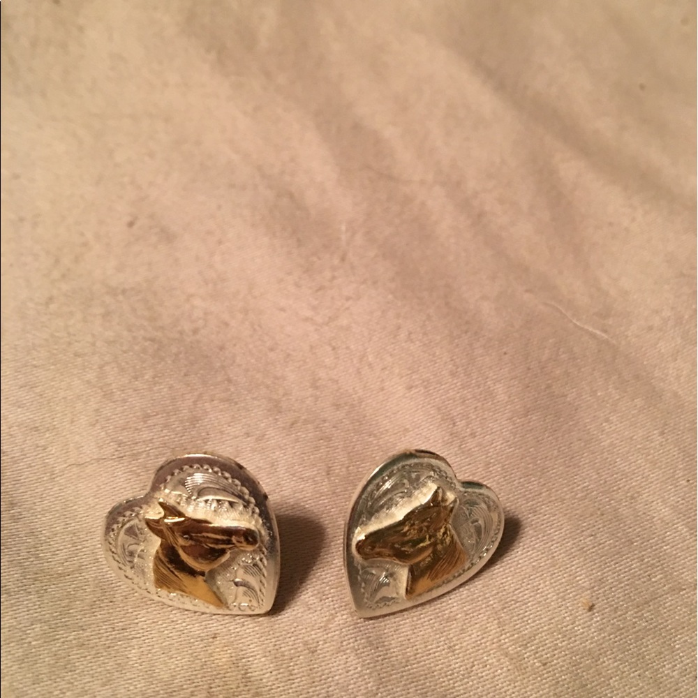 Montana Sterling Silver Earrings