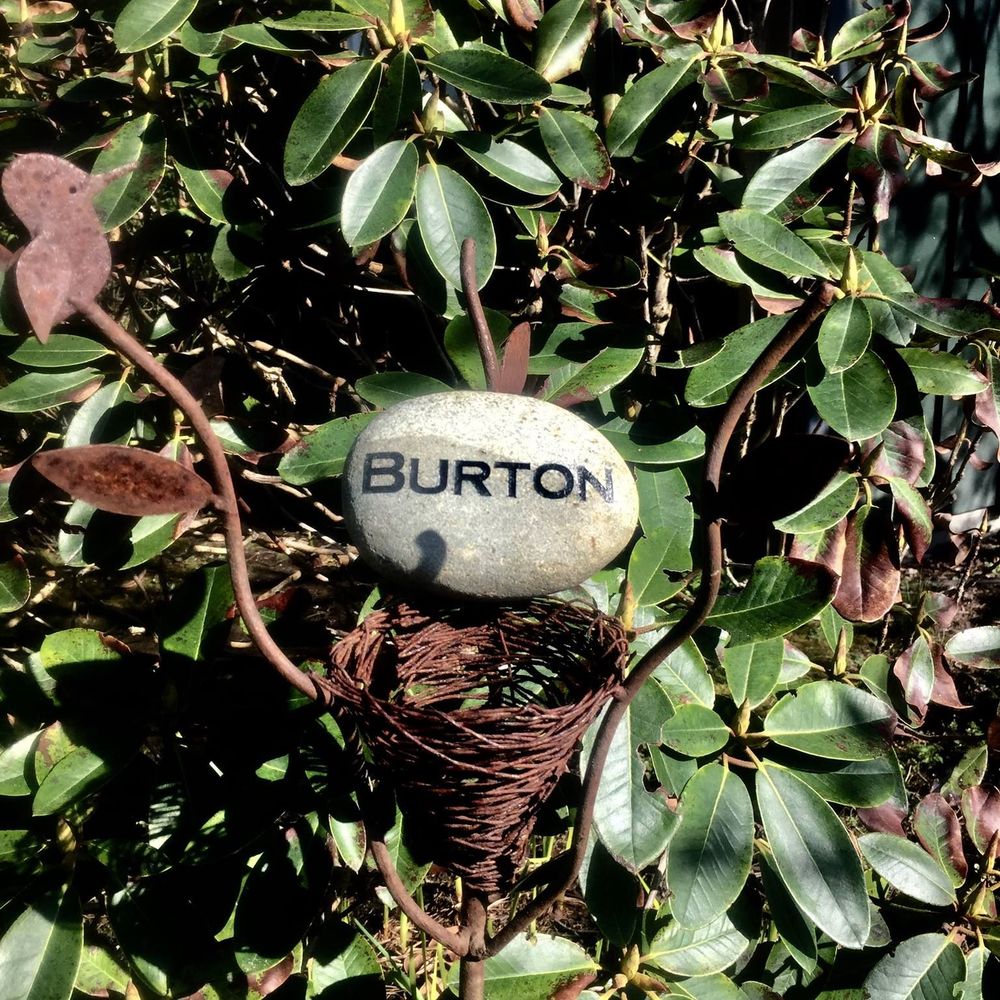 Meet your Posher, Liz