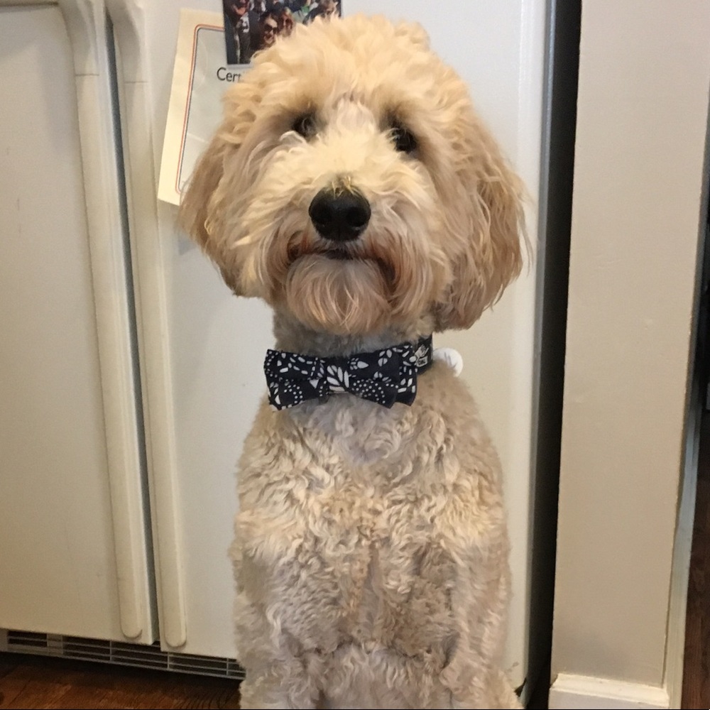 Meet your Posher, Christine