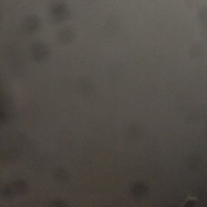 Meet your Posher, Dwight