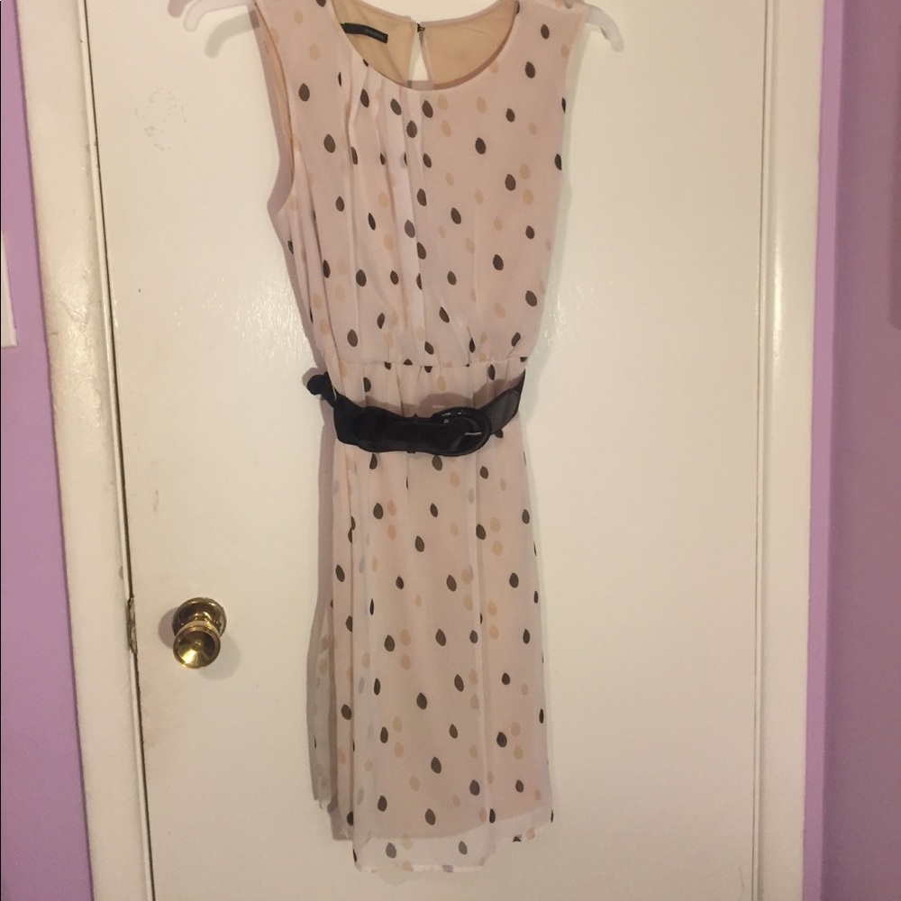 Belted Polka Dot Dress