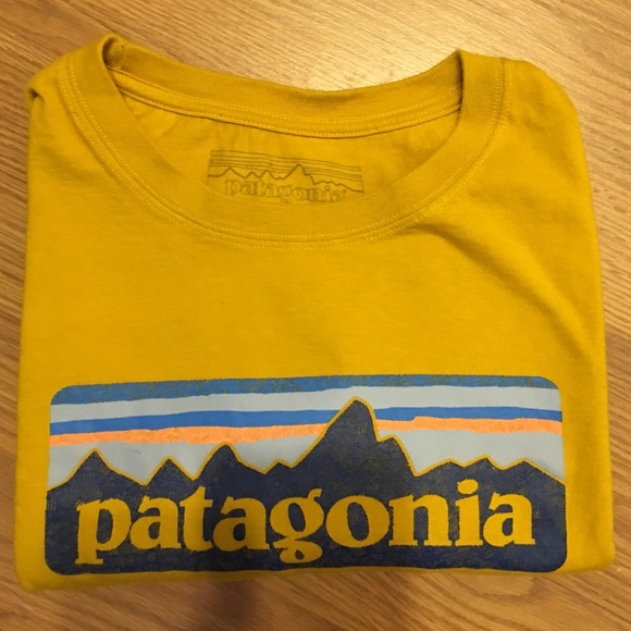 Patagonia Tops - Patagonia Tee