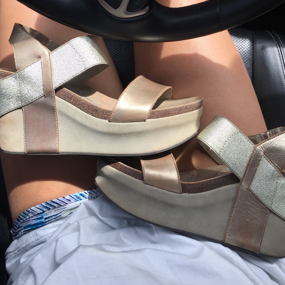 Otbt wedges