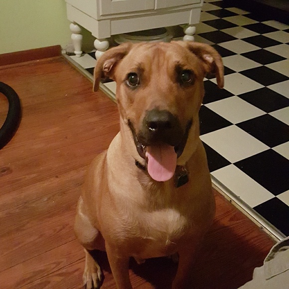 Meet your Posher, Ms. Kai - Picture 5 of 6