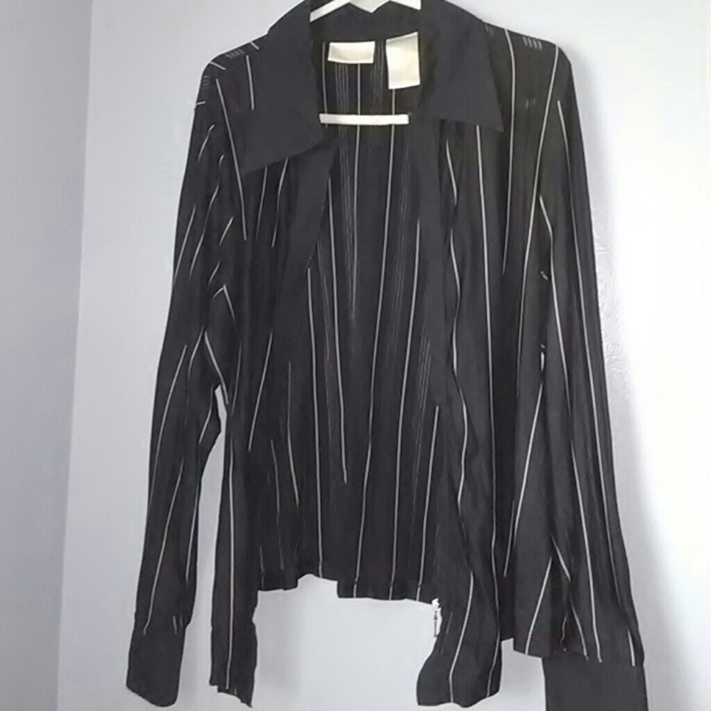 Sheer Blouse - Picture 4 of 4