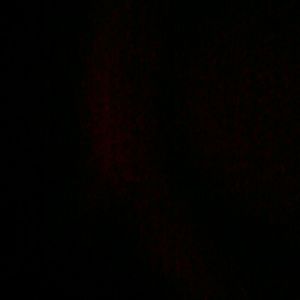 Meet your Posher, Contina