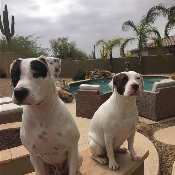 Meet your Posher, Laura 🐝 - Picture 3 of 13