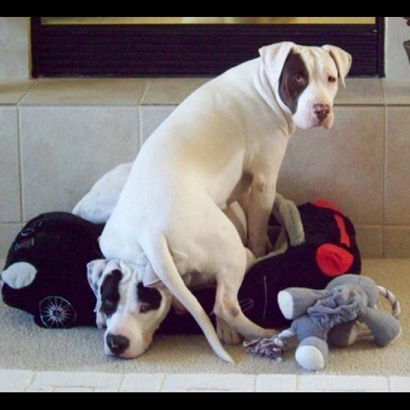 Meet your Posher, Laura 🐝 - Picture 4 of 13