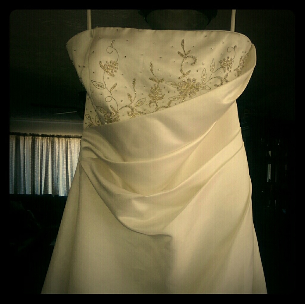 Brand New Lady Roi Wedding Dress