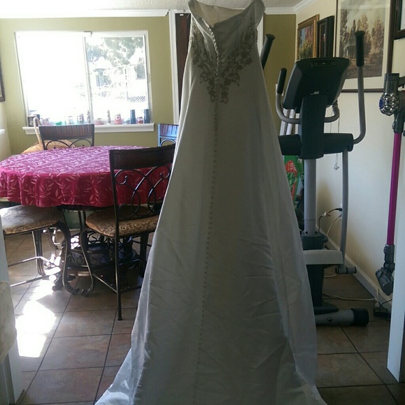Brand New Lady Roi Wedding Dress - Picture 4 of 4