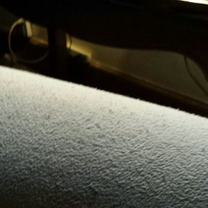 Meet your Posher, Tim