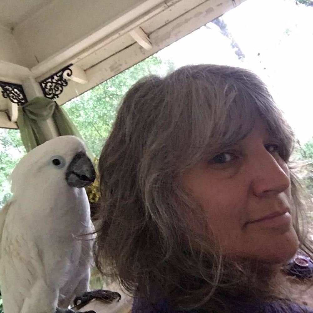 Meet your Posher, Bonnie