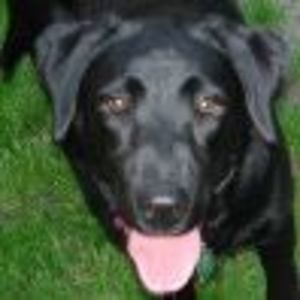 Meet your Posher, Annette