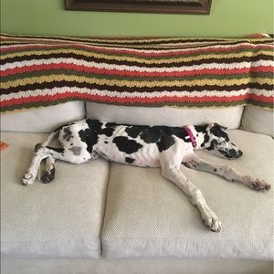 Meet your Posher, Hunter